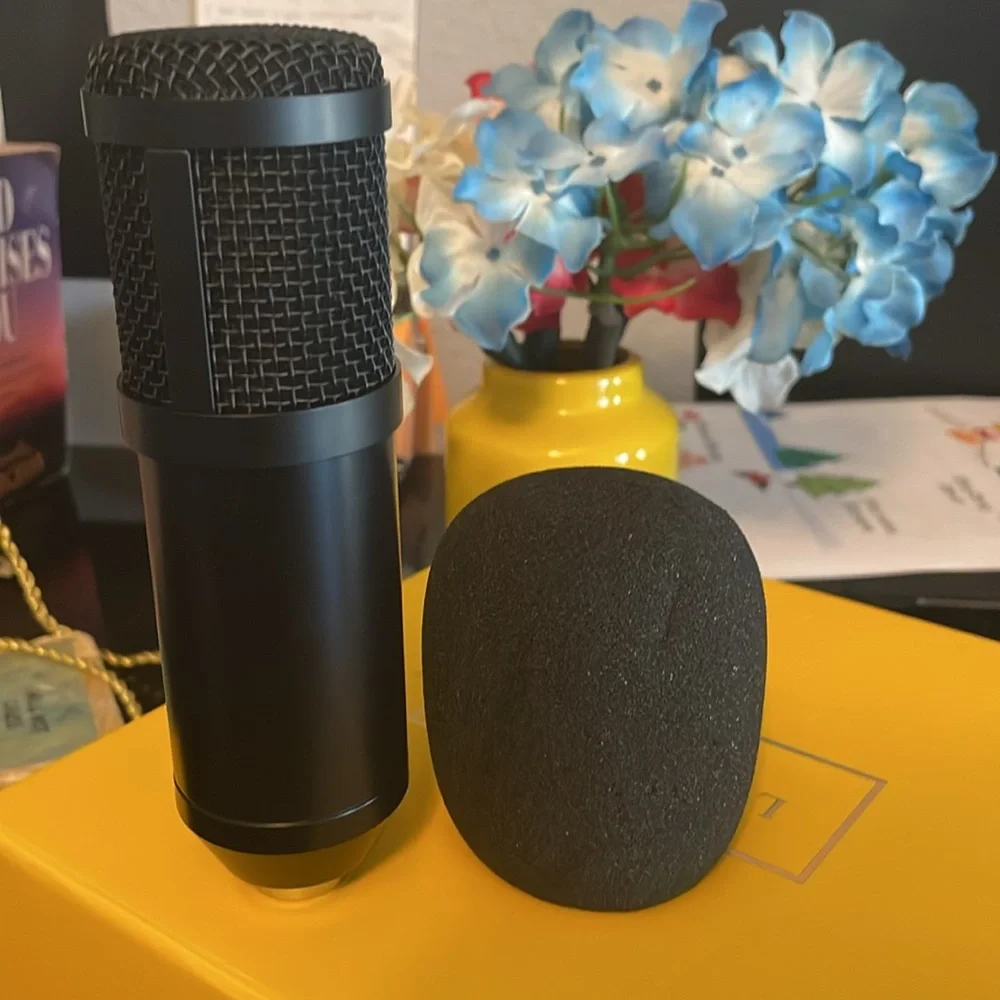 Microphone and Microphone Holder